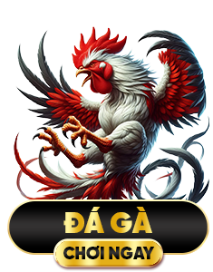 đá gà f8bet
